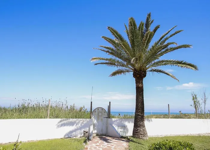 030 Marines - Deniasol